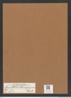 Corethron murrayanum Castr. (de-Toni-Nr.: Genus 155, Species 4214) Zeichnungen Sammlung Grunow Mappe 04214 (Herbarium_W_Grunow_drawings_Folder_04214)